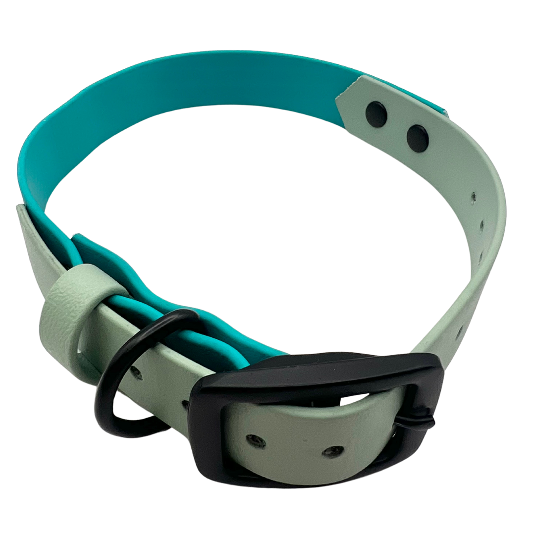 Belt Buckle Collar - Two Toned