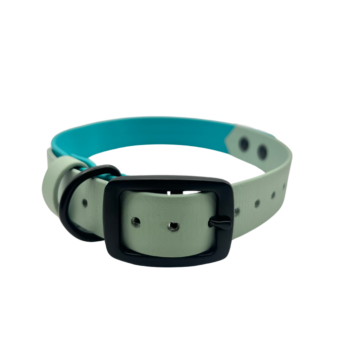 Belt Buckle Collar - Two Toned