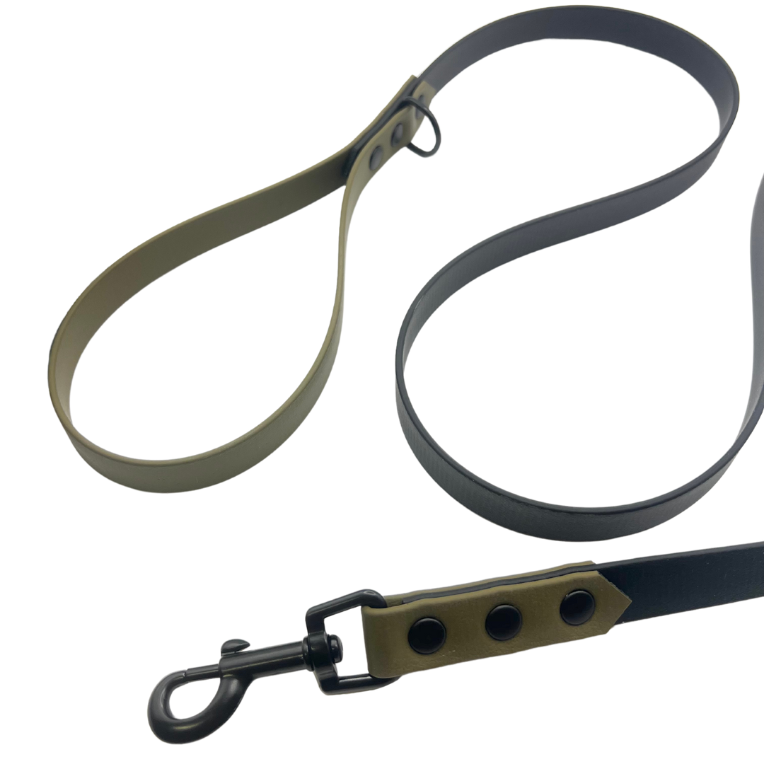 Everyday Leash - Two Toned
