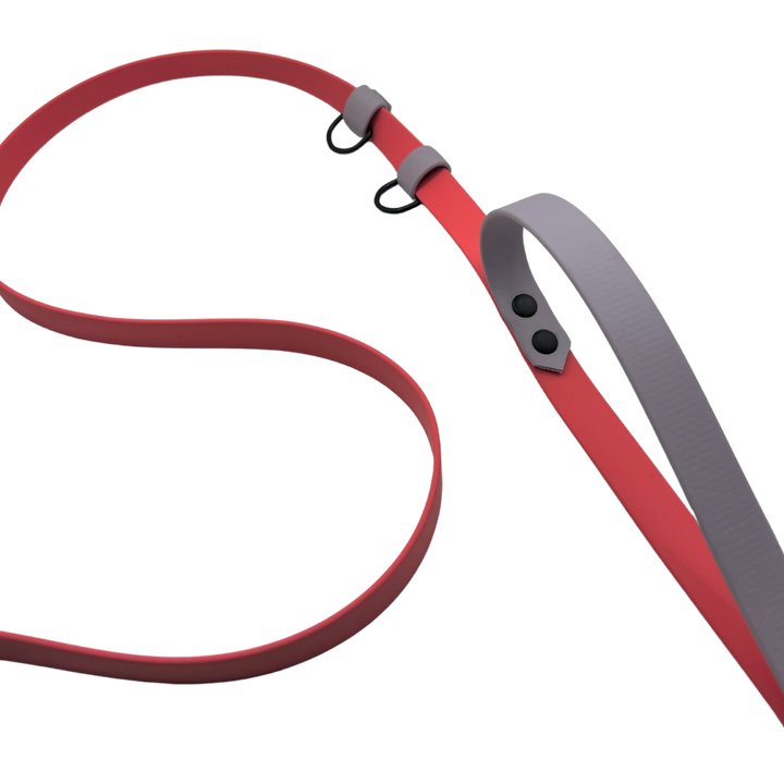 Handsfree Leash - Two Toned