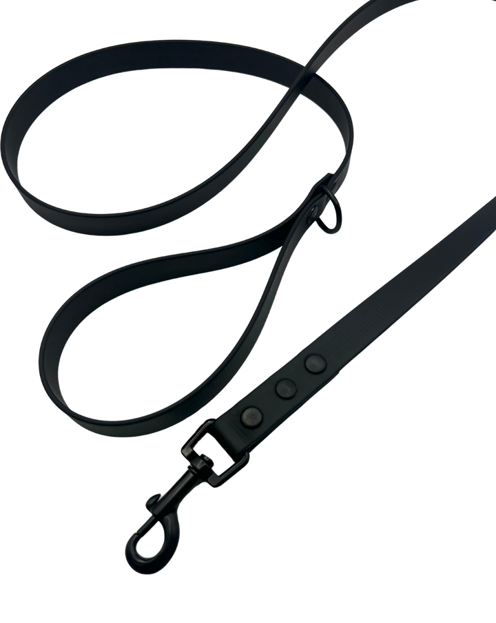 Everyday Leash - Black