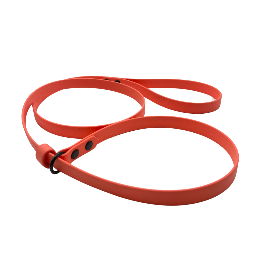 Slip Leash - Coral