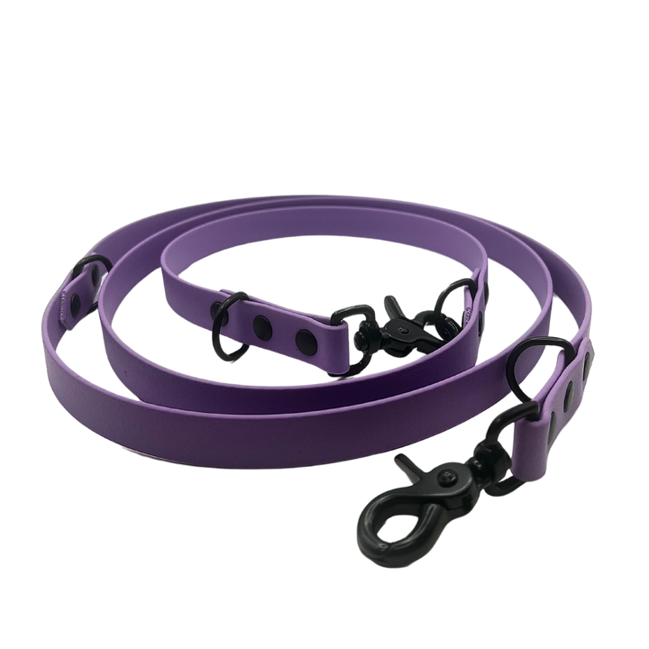 Multi-Clip Leash - Orchid Amethyst