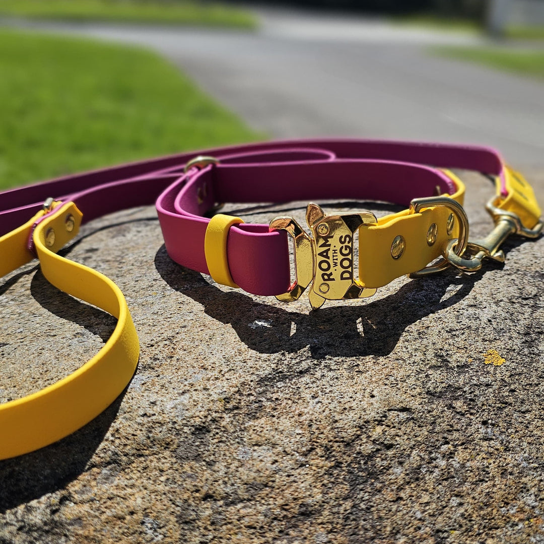 Everyday Leash - Two Toned