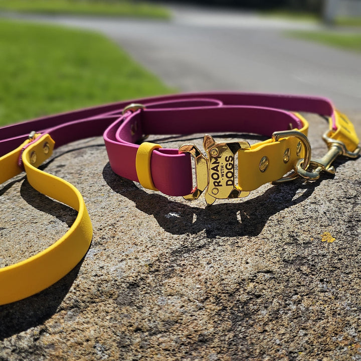 Everyday Leash - Two Toned